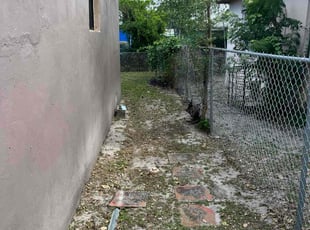 Leaf Removal by Fred Drajna for Grace P. in Miami, FL