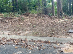 Leaf Removal by Terence Frederick for Nick T. in Kennesaw, GA