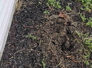 Cleanups by James Corbin for Iqbal S. in Indianapolis, IN