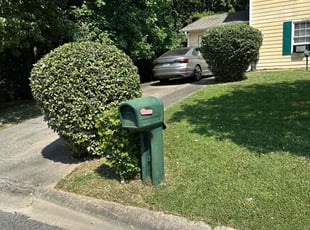 Samone H.'s Bush Trimming service result