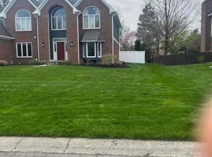 Sophia M.'s Yard Cutting service result