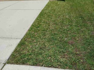 Cleanups by Marcus Rodriguez for Paul Z. in Channelview, TX