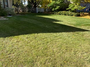 Leaf Removal by Don Hansen for Jake T. in Maple Grove, MN