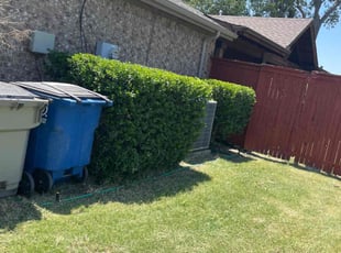 Bush Trimming by Giovanni Flores for Phil J. in Lavon, TX