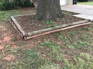Leaf Removal by Katie Seeley for Robert S. in Del City, OK