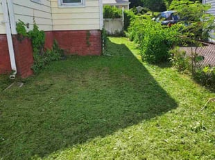 Ryan F.'s Lawn Mowing service result