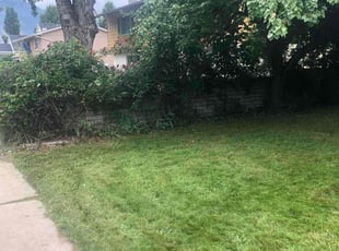 Weeding by Shawn Beardall for Hunter S. in Provo, UT