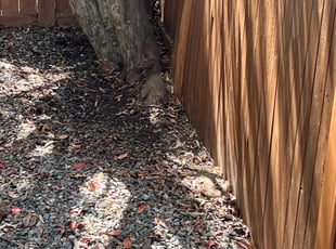Leaf Removal by EV Jenkins-Benavides for William R. in Richmond, VA