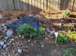 Cleanups by Jason Bickler for Kristen C. in Boulder, CO