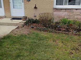 Cleanups by Edgar Nunez for Judith C. in Des Plaines, IL