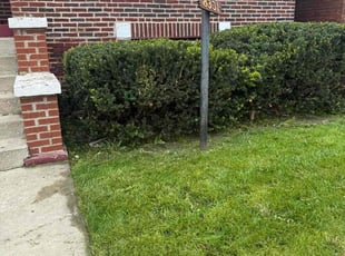 Bush Trimming by Brandon Betts for Shaunta H. in Chicago, IL