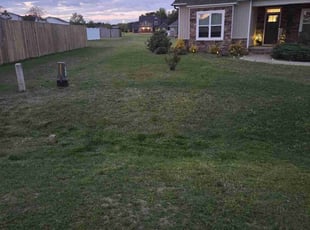 Jacob B.'s Lawn Mowing service result