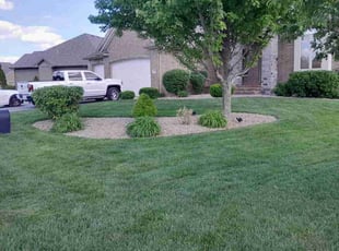 Zettia G.'s Lawn Care service result