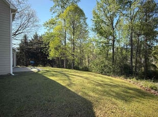 Ryan M.'s Lawn Maintenance service result