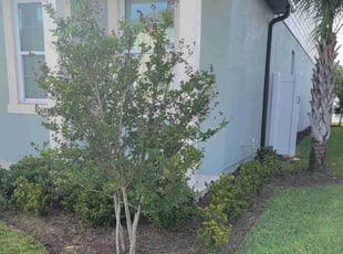Bush Trimming by Carlos Martinez for Aaron S. in CHAMPIONS GT, FL