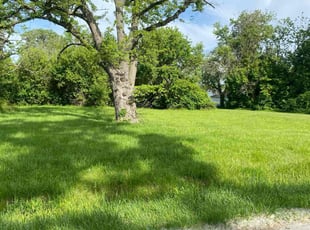Keith R.'s Lawn Mowing Service service result