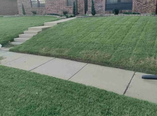 Butch H.'s Grass Cutting service result