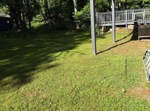Cleanups by Toni Feaster for ALEXIS J. in Decatur, GA