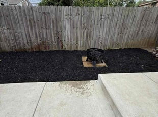 Penelope B.'s Mulching service result