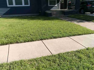 JS L.'s Lawn Mowing service result