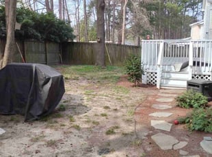 Leaf Removal by Jeff Gillespy for Cristina B. in Apex, NC