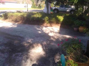 Bush Trimming by James Patton for Julie M. in Orlando, FL