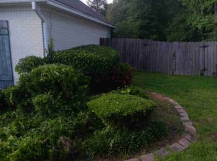 Bush Trimming by Johnny Hall for Hans B. in Clinton, MS