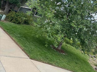 "Larry W.'s Lawn Mowing service result