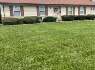 Bush Trimming by Stephanie Capps for Willard . in Virginia Beach, VA