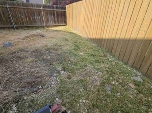 Cleanups by Delbert Jones for Colton M. in Boise, ID