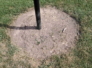 Isabel N.'s Flower Bed Weeding service result