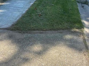 Bush Trimming by Dewayne Hopkins for Emmanuel G. in Columbia, MD