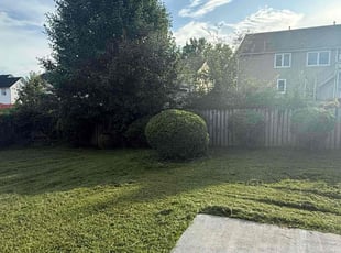 Randi E.'s Bush Trimming service result