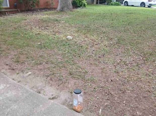 Leaf Removal by Joshua Walker for Megan G. in Clarkston, GA