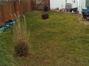 Cleanups by David Scott for Josh P. in Chattanooga, TN