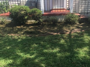 Weeding by Brandon Dickerson for Anthony S. in Norfolk, VA