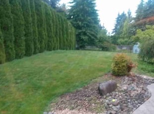 Leaf Removal by Lana Kindsfather for Taylor K. in Tacoma, WA