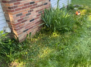Amanda B.'s Leaf Removal service result