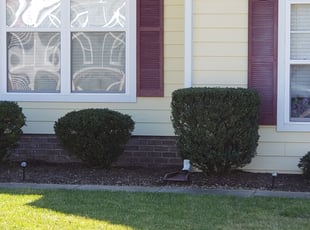 Bush Trimming by Tom Dycus for Kjell S. in Chesapeake, VA