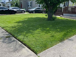 Darrion W.'s Lawn Maintenance service result