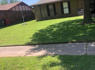 Sonja H.'s Lawn Mowing service result