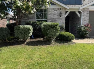 Kevin S.'s Bush Trimming service result
