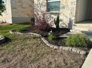 Weeding by Rene Hernandez for Kari H. in San Marcos, TX