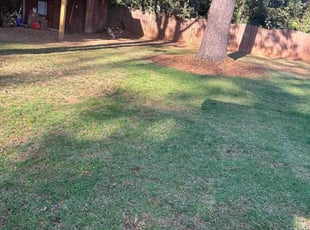 Leaf Removal by Jeff Foster for Amy E. in Charlotte, NC