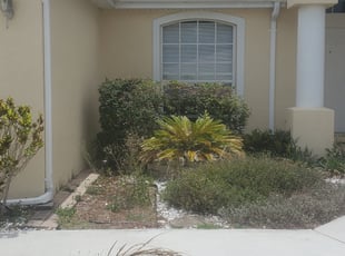 Bush Trimming by Richard Rhoden for TIFFANY M. in Kissimmee, FL