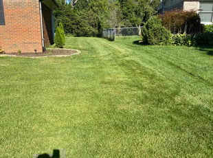 Ronald a.'s Grass Cutting service result