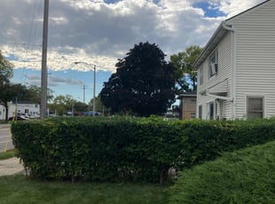 Bush Trimming by Nathaniel Dukes for Renee J. in Milwaukee, WI