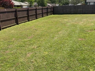 Leaf Removal by Imunique Hill for Tochi O. in Broken Arrow, OK