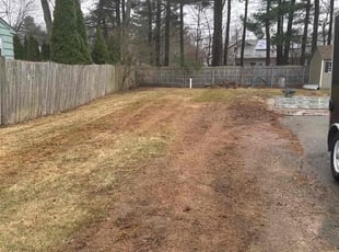 Leaf Removal by Frank Cannizzaro for Mark L. in East Bridgewater, MA