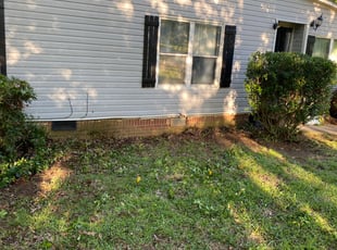 Tunisia M.'s Bush Trimming service result